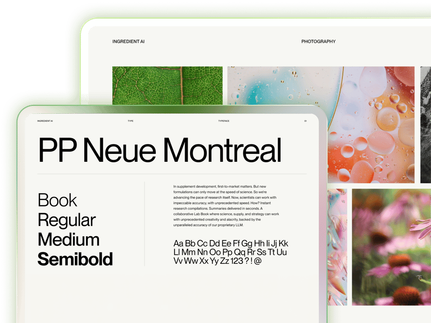 Visual identity